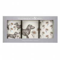 Dog & Daisy Print Set of 3 Caddies By Thornback & Peel